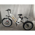 750W Adult 3 Three Wheels Cargo Bike Electric Fat Tricycle